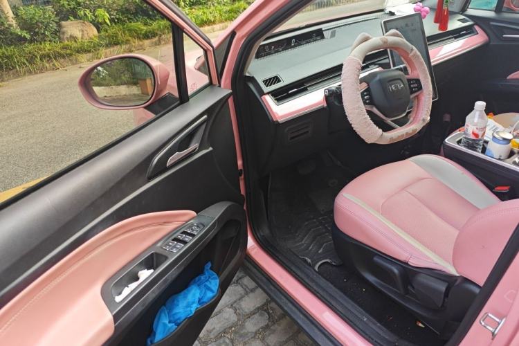 Used NETA V 2021 Witch Edition Driver Seat