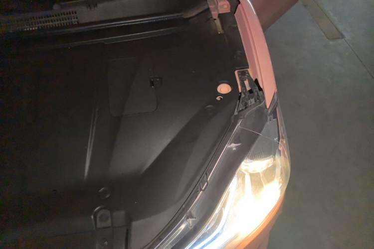 Used NETA V 2021 Witch Edition Engine Bay Left