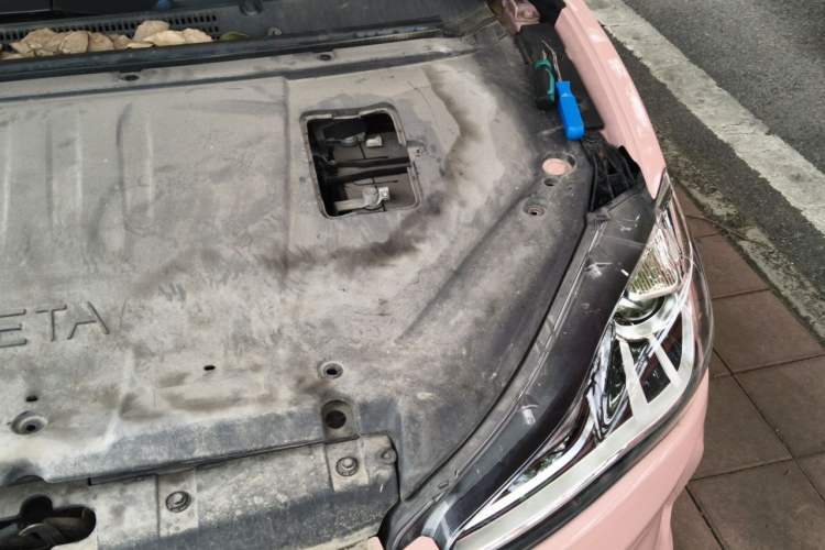 Used NETA V 2021 Witch Edition Engine Bay Left