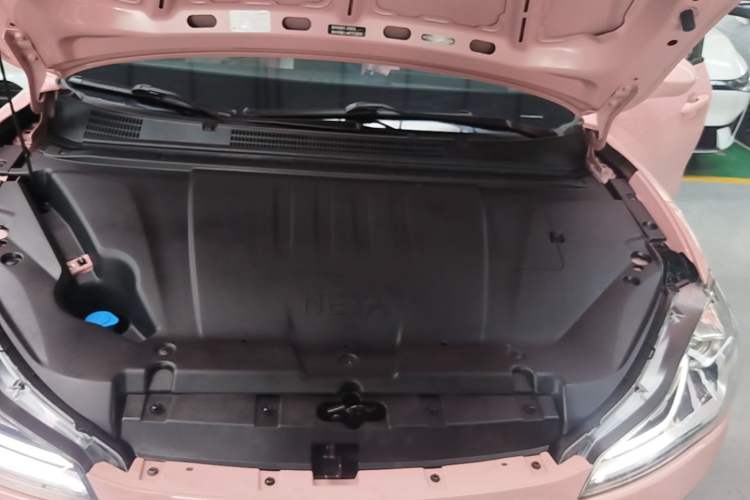Used NETA V 2021 Long-Range Entertainment Edition Upgrade Model Engine Bay