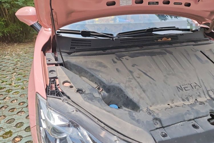 Used NETA V 2021 Witch Edition Engine Bay Right