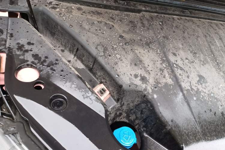 Used NETA V 2021 Witch Edition Engine Bay Right
