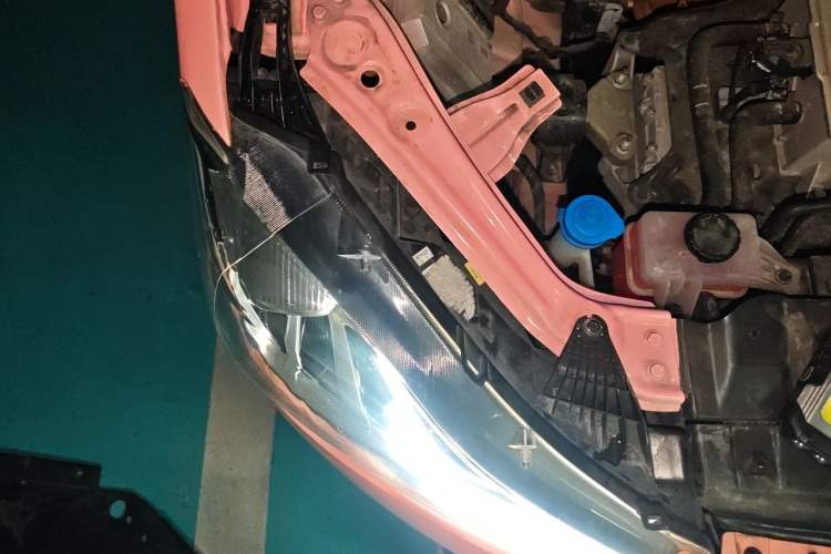 Used NETA V 2021 Witch Edition Engine Bay Right