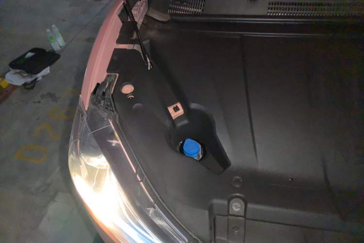Used NETA V 2021 Witch Edition Engine Bay Right