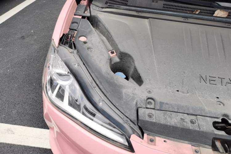 Used NETA V 2021 Witch Edition Engine Bay Right