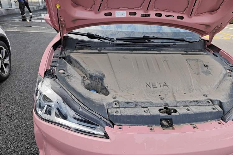 Used NETA V 2021 Witch Edition Engine Bay Right