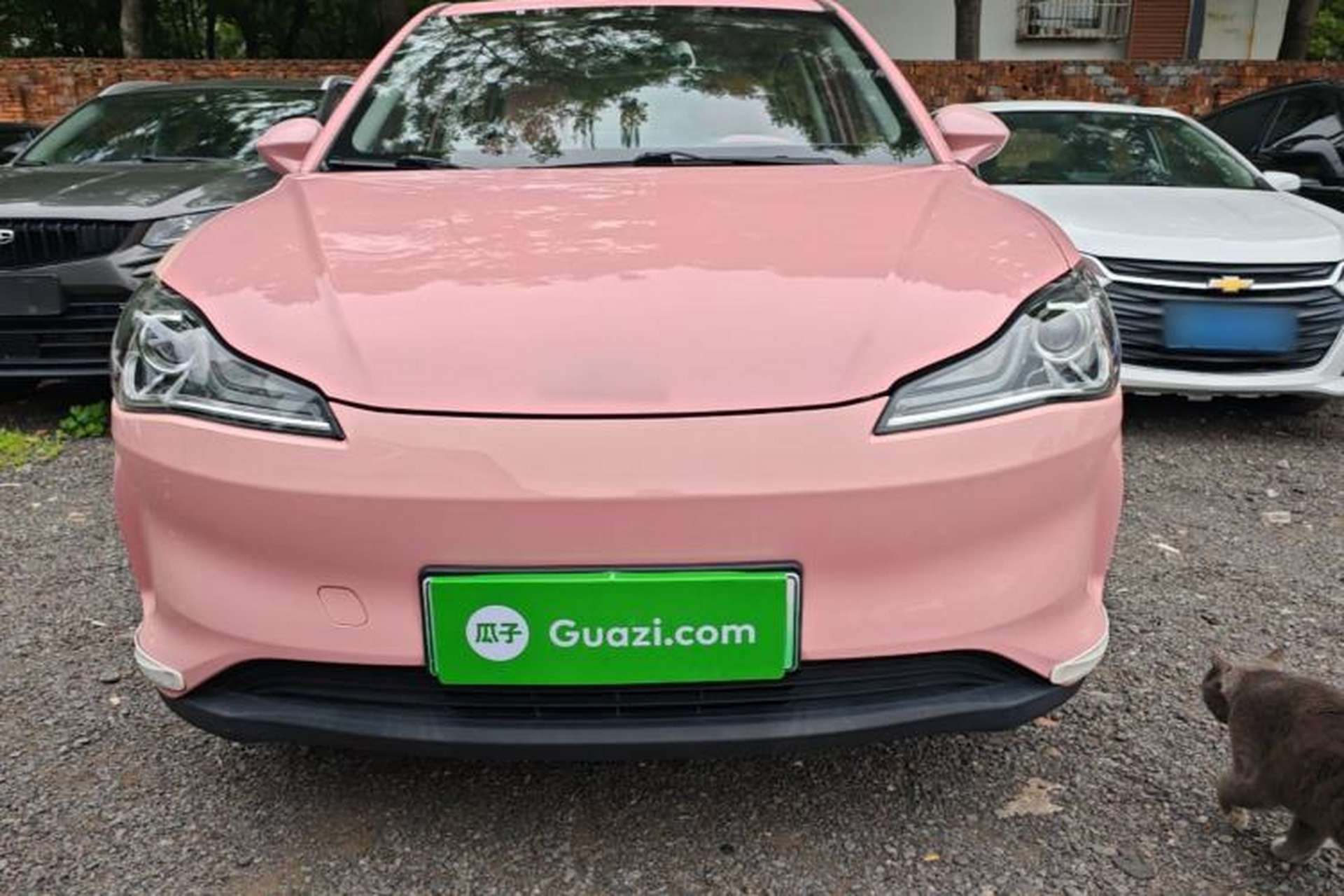 Used NETA V 2021 Witch Edition Front