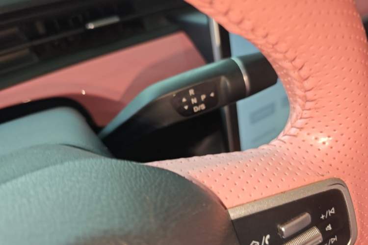 Used NETA V 2021 Witch Edition Gear Lever