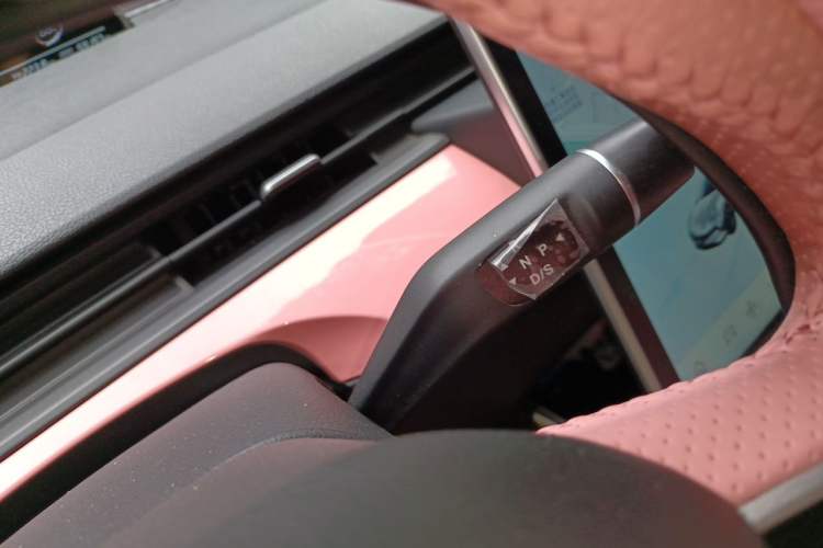 Used NETA V 2021 Witch Edition Gear Lever