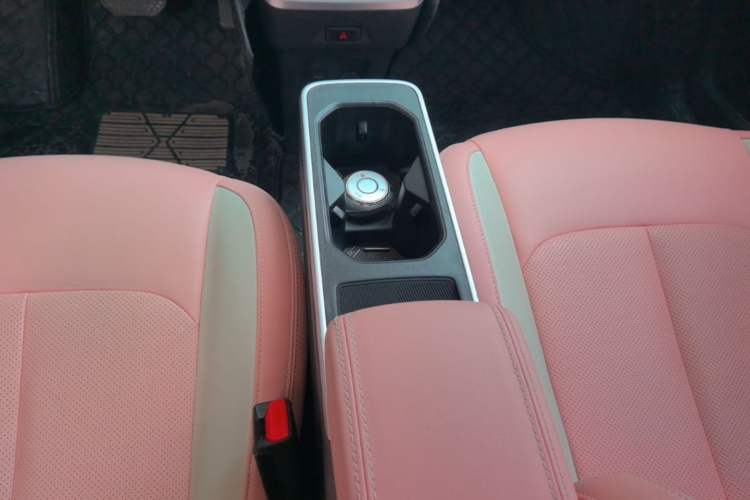 Used NETA V 2021 Witch Edition Gear Lever