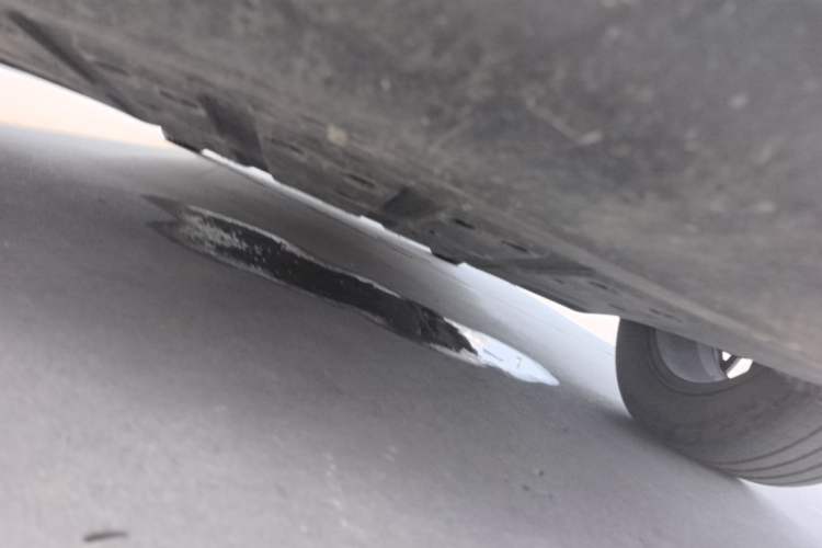 Used NETA V 2021 Long-Range Entertainment Edition Chassis Front