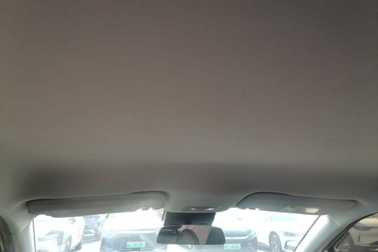 Used NETA V 2021 Long-Range Entertainment Edition Upgrade Model Headliner