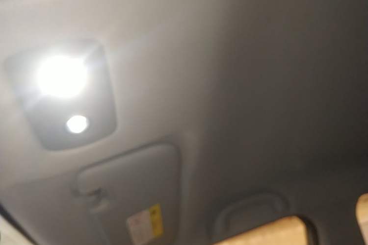 Used NETA V 2021 Long-Range Entertainment Edition Upgrade Model Headliner