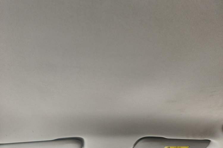 Used NETA V 2021 Standard Range Entertainment Version – Upgraded Model Headliner