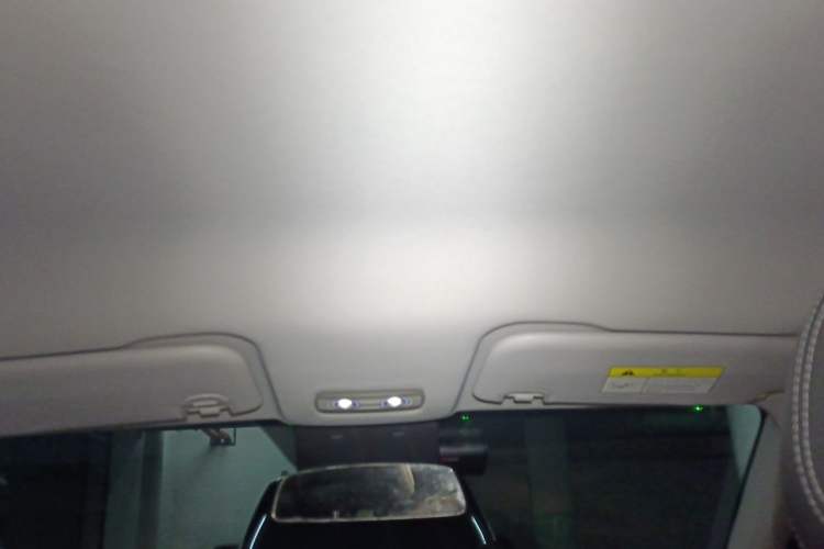 Used NETA V 2021 Long-Range Entertainment Edition Upgrade Model Headliner