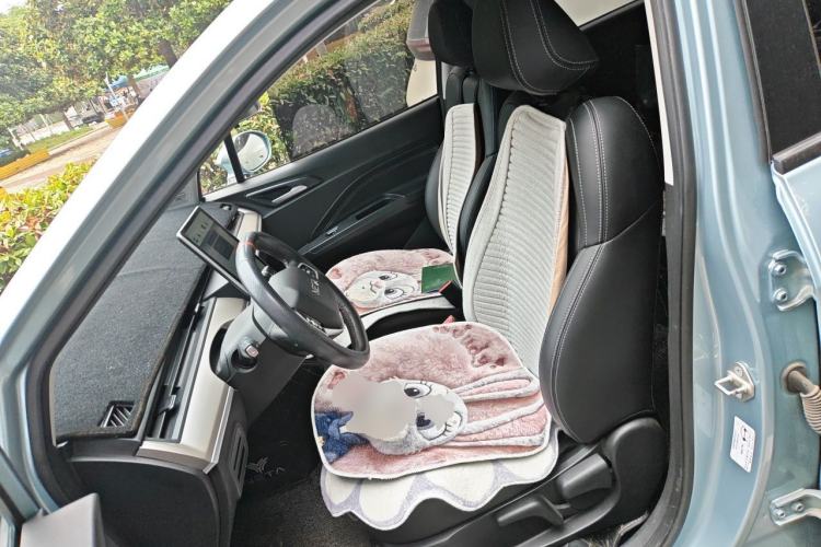 Used NETA V 2021 Long-Range Entertainment Edition Upgrade Model Left Front Seat