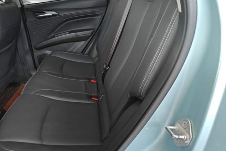 Used NETA V 2021 Long-Range Entertainment Edition Upgrade Model Left Rear Seat