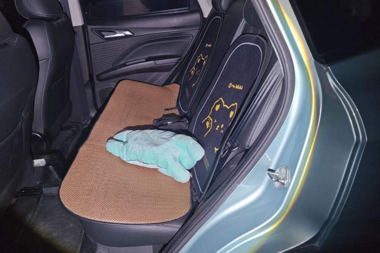 Used NETA V 2021 Long-Range Entertainment Edition Upgrade Model Left Rear Seat