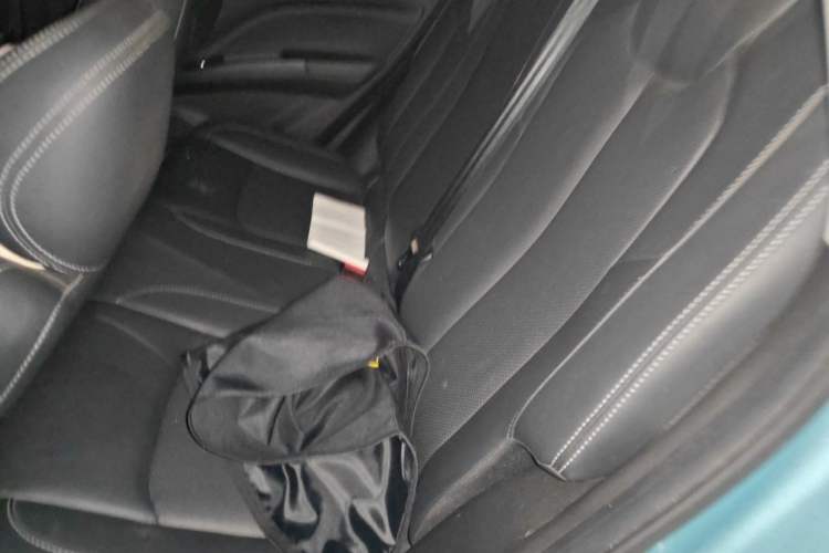 Used NETA V 2021 Long-Range Entertainment Edition Upgrade Model Left Rear Seat