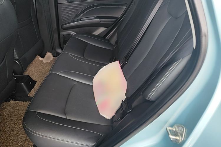 Used NETA V 2021 Long-Range Entertainment Edition Upgrade Model Left Rear Seat