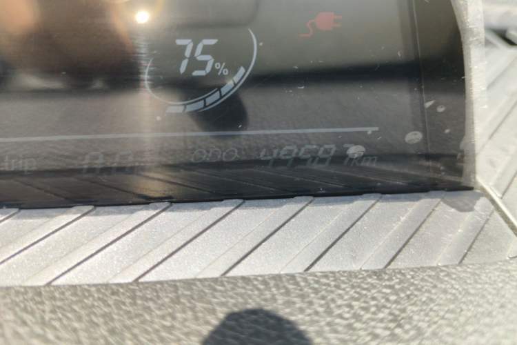 Used NETA V 2021 Standard Range Entertainment Version – Upgraded Model Odometer Close Up