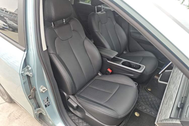 Used NETA V 2021 Co-sport Magic Edition Right Front Seat