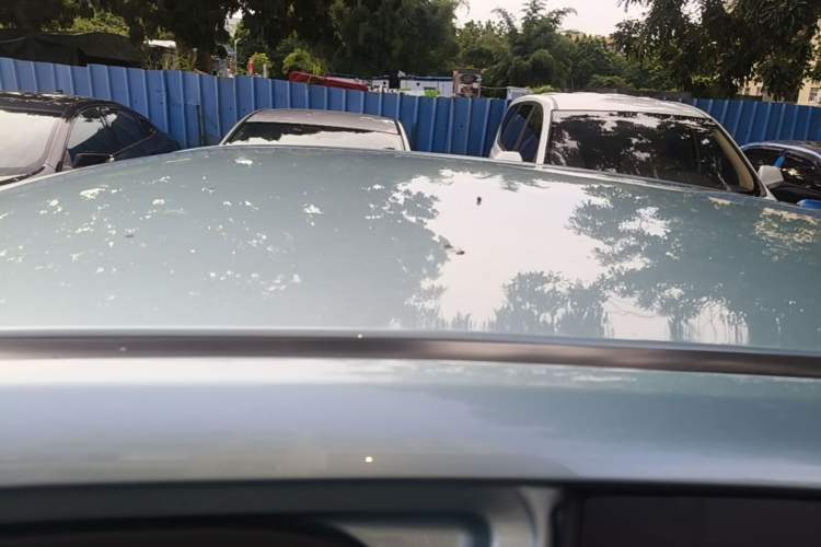 Used NETA V 2021 Standard Range Entertainment Edition Roof