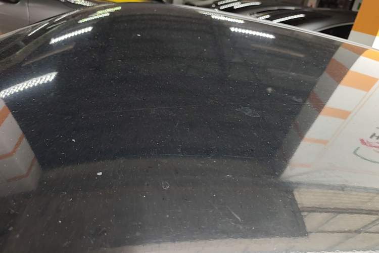 Used NETA V 2021 Long-Range Entertainment Edition Upgrade Model Roof