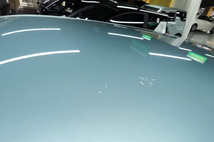 Used NETA V 2021 Long-Range Entertainment Edition Upgrade Model Roof