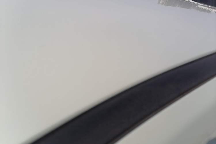 Used NETA V 2021 Long-Range Entertainment Edition Upgrade Model Roof