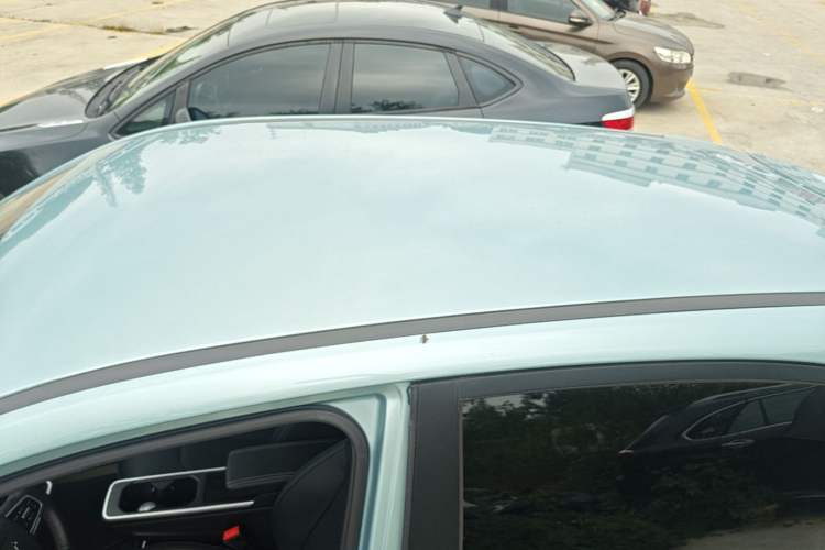 Used NETA V 2021 Co-sport Magic Edition Roof