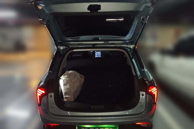 Used NETA V 2021 Long-Range Entertainment Edition Upgrade Model Trunk