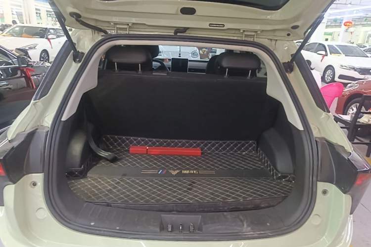Used NETA V 2021 Standard Range Entertainment Version – Upgraded Model Trunk