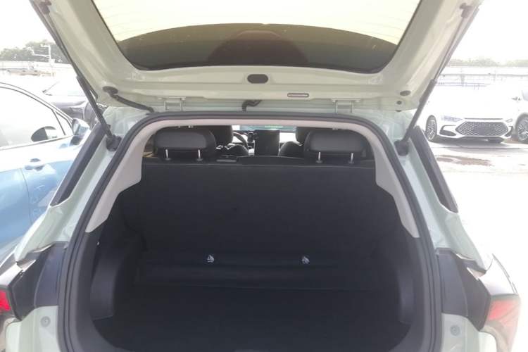 Used NETA V 2021 Long-Range Entertainment Edition Upgrade Model Trunk