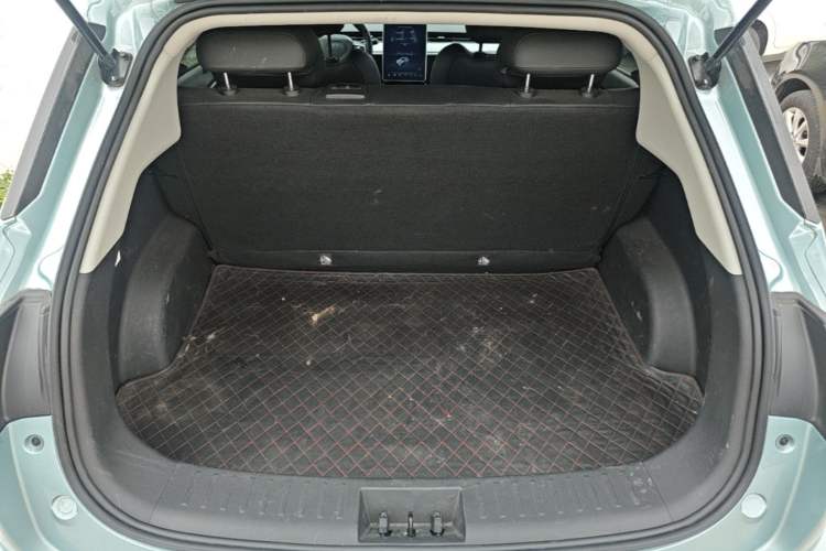 Used NETA V 2021 Co-sport Magic Edition Trunk