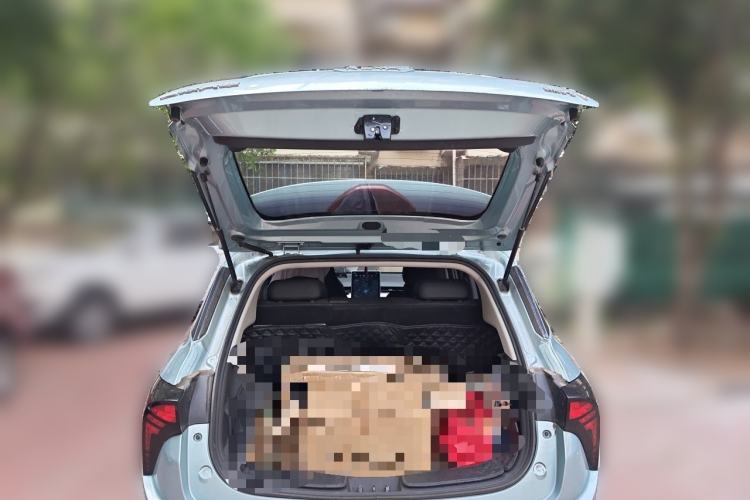 Used NETA V 2021 Long-Range Entertainment Edition Upgrade Model Trunk