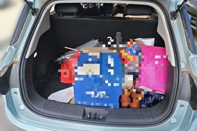Used NETA V 2021 Long-Range Entertainment Edition Trunk