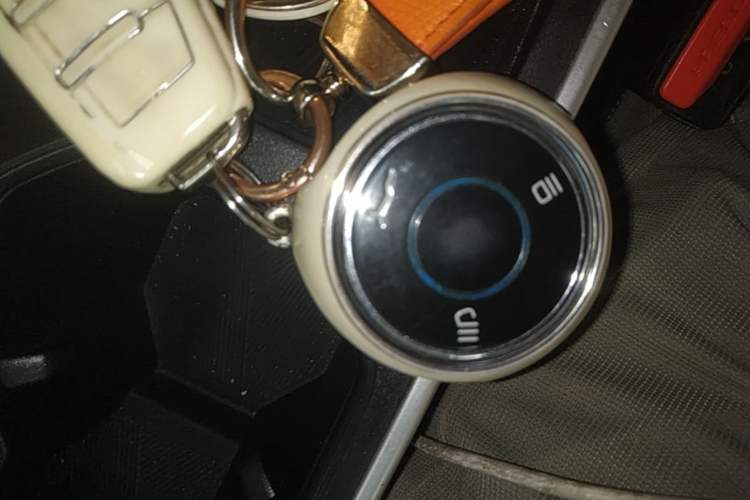 Used NETA V 2021 Long-Range Entertainment Edition Upgrade Model Vehicle Key