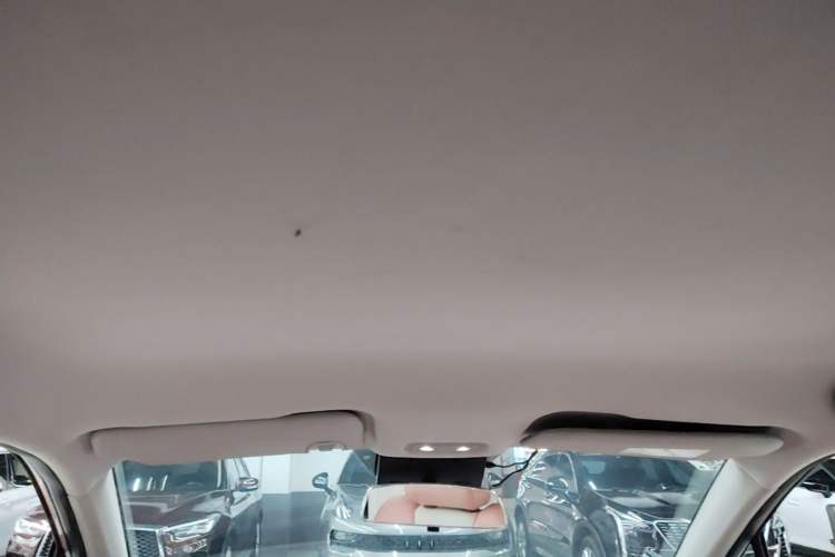 Used NETA V 2021 Witch Edition Headliner