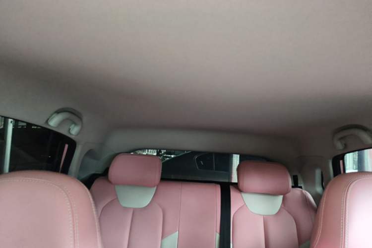 Used NETA V 2021 Long-Range Smart Edition Upgrade Model Headliner