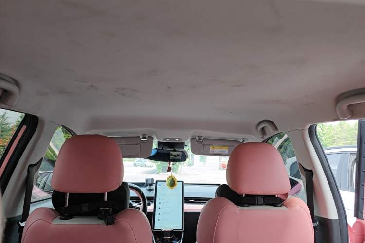 Used NETA V 2021 Witch Edition Headliner