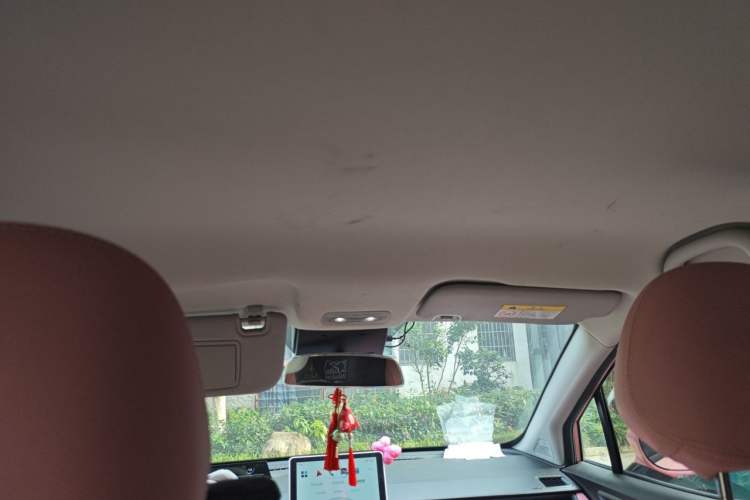 Used NETA V 2021 Witch Edition Headliner