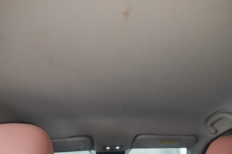 Used NETA V 2021 Witch Edition Headliner
