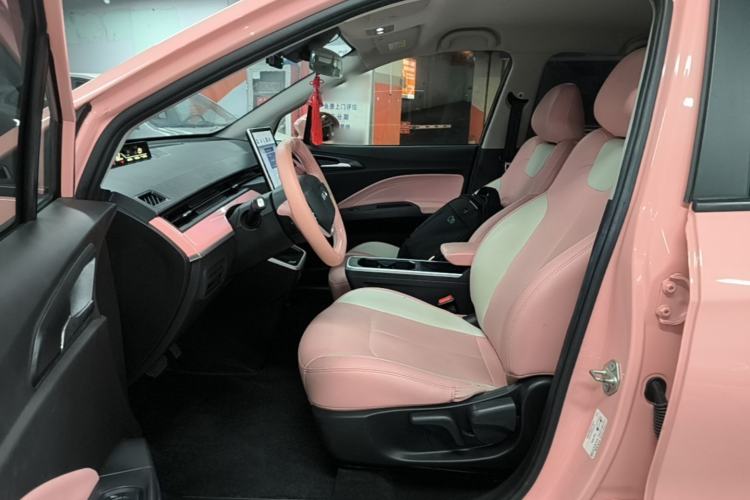 Used NETA V 2021 Witch Edition Left Front Seat