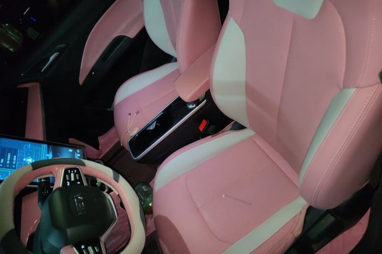 Used NETA V 2021 Witch Edition Left Front Seat
