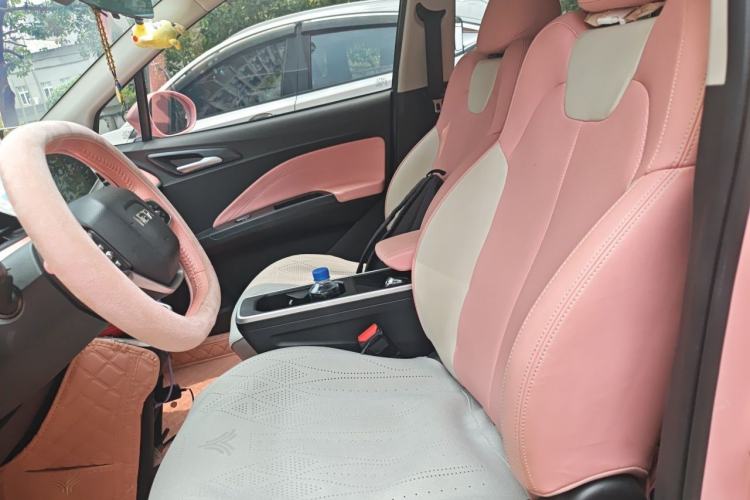 Used NETA V 2021 Witch Edition Left Front Seat
