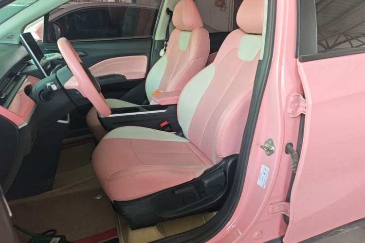 Used NETA V 2021 Witch Edition Left Front Seat