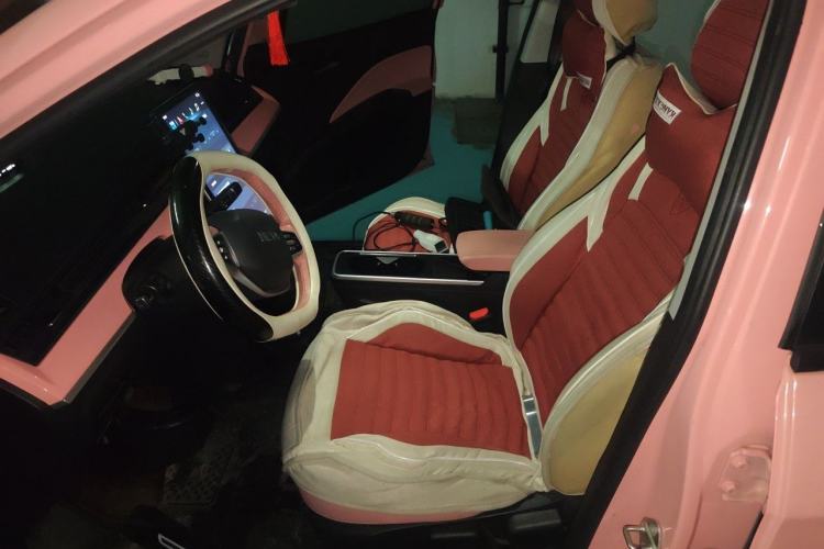 Used NETA V 2021 Witch Edition Left Front Seat