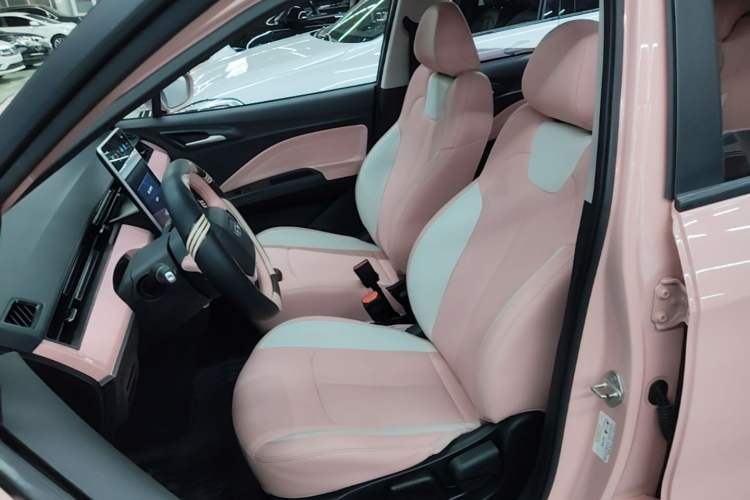 Used NETA V 2021 Witch Edition Left Front Seat