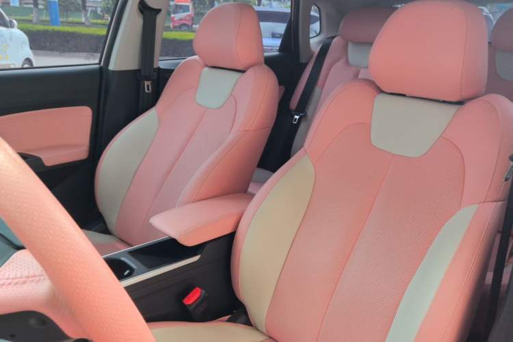 Used NETA V 2021 Witch Edition Left Front Seat